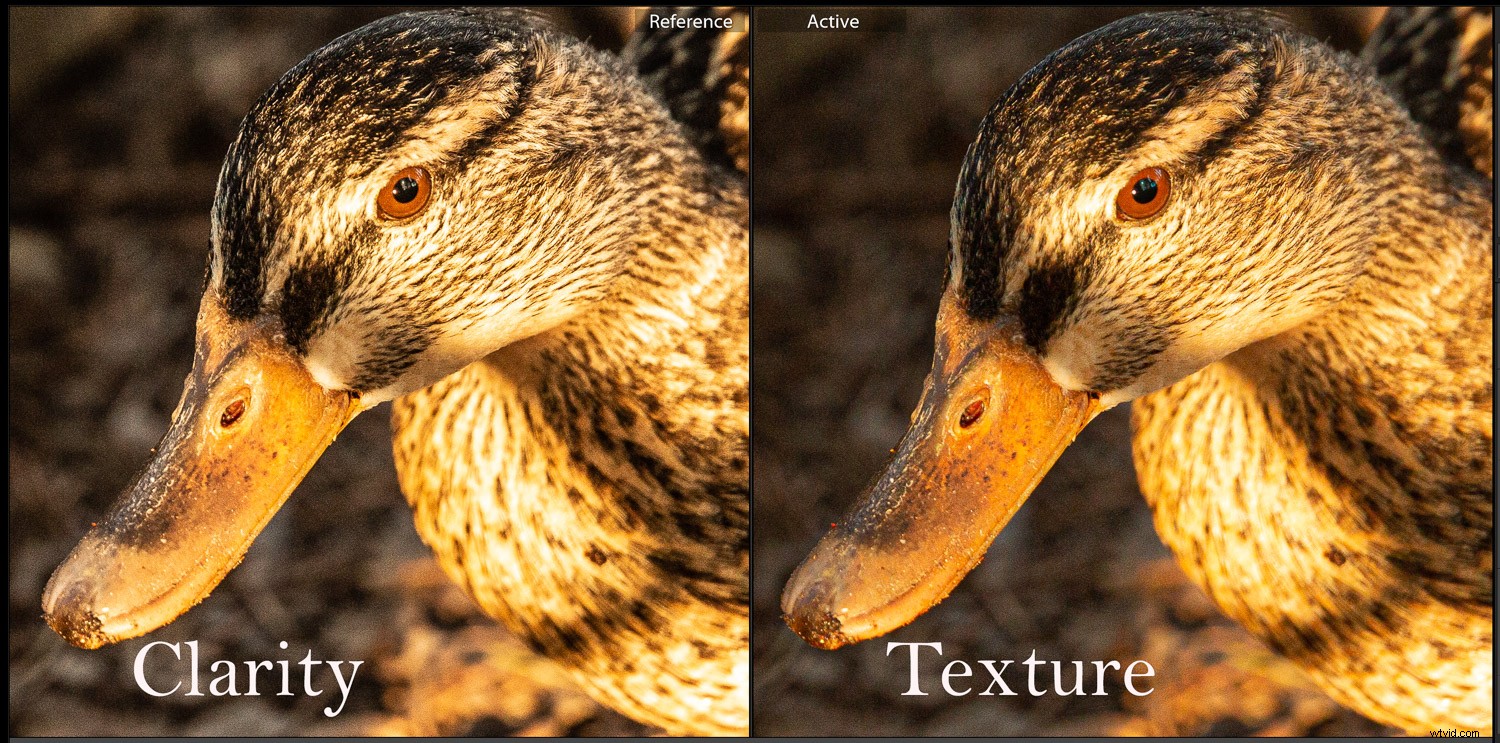 Texture vs. Clarity Sliders in Lightroom Classic: Key Differences Explained