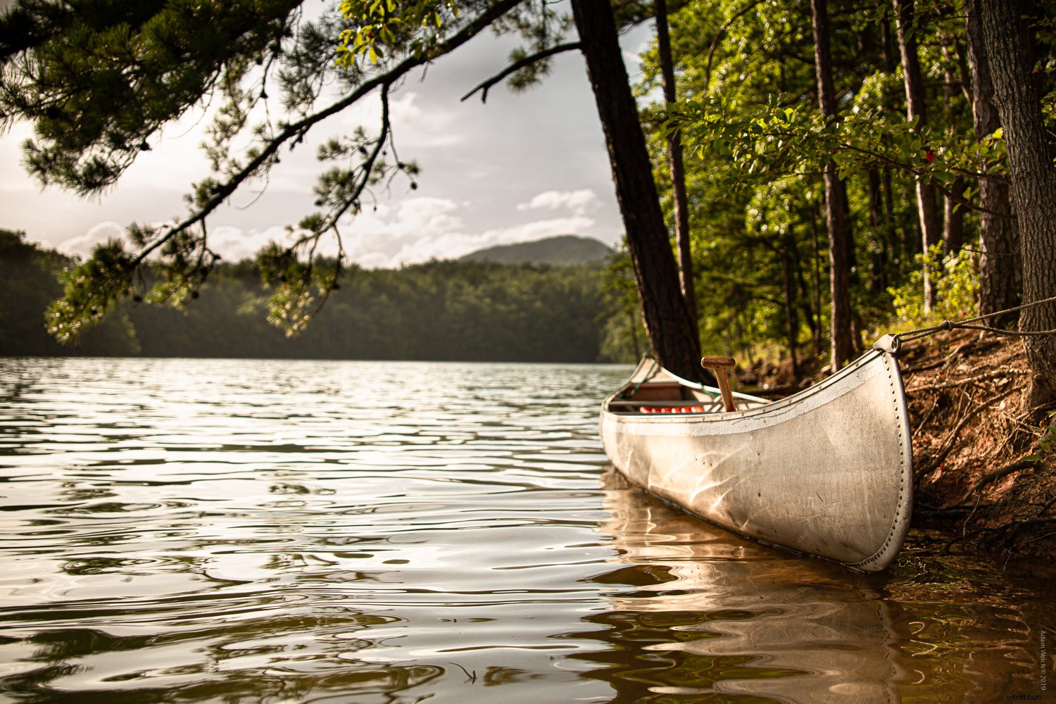 Texture vs. Clarity Sliders in Lightroom Classic: Key Differences Explained