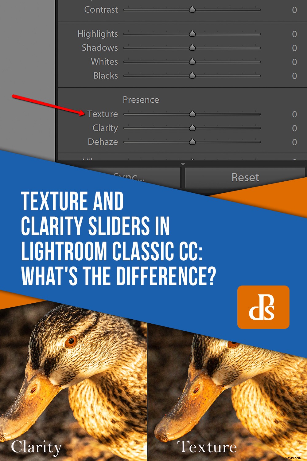Texture vs. Clarity Sliders in Lightroom Classic: Key Differences Explained