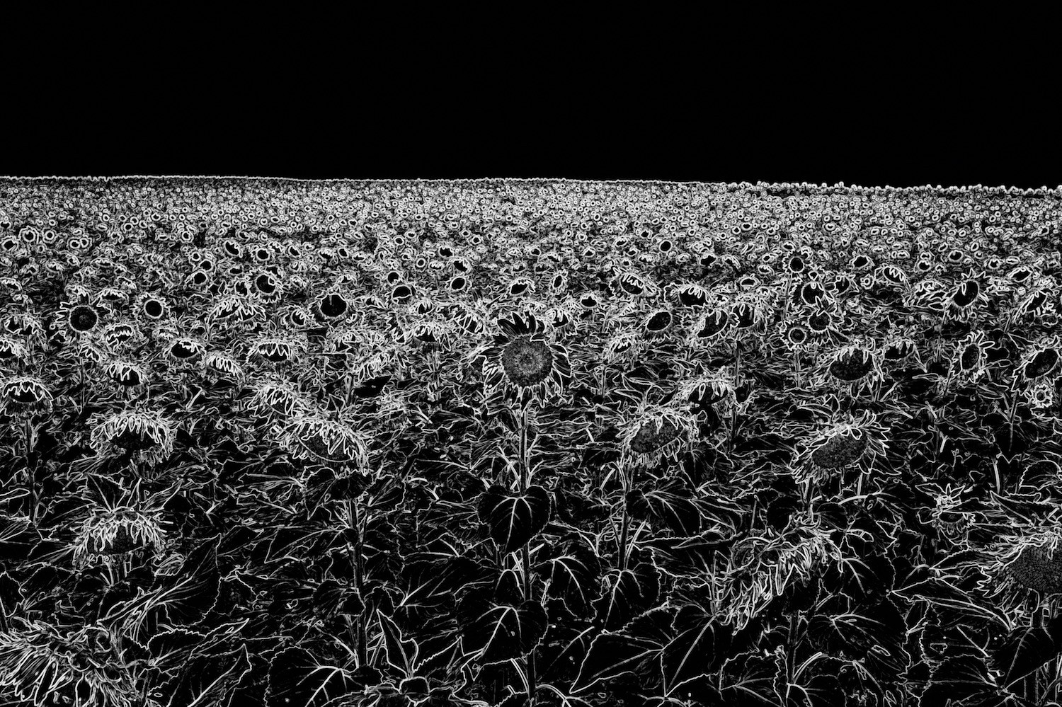 4 Expert Lightroom Tips to Elevate Your Landscape Photos