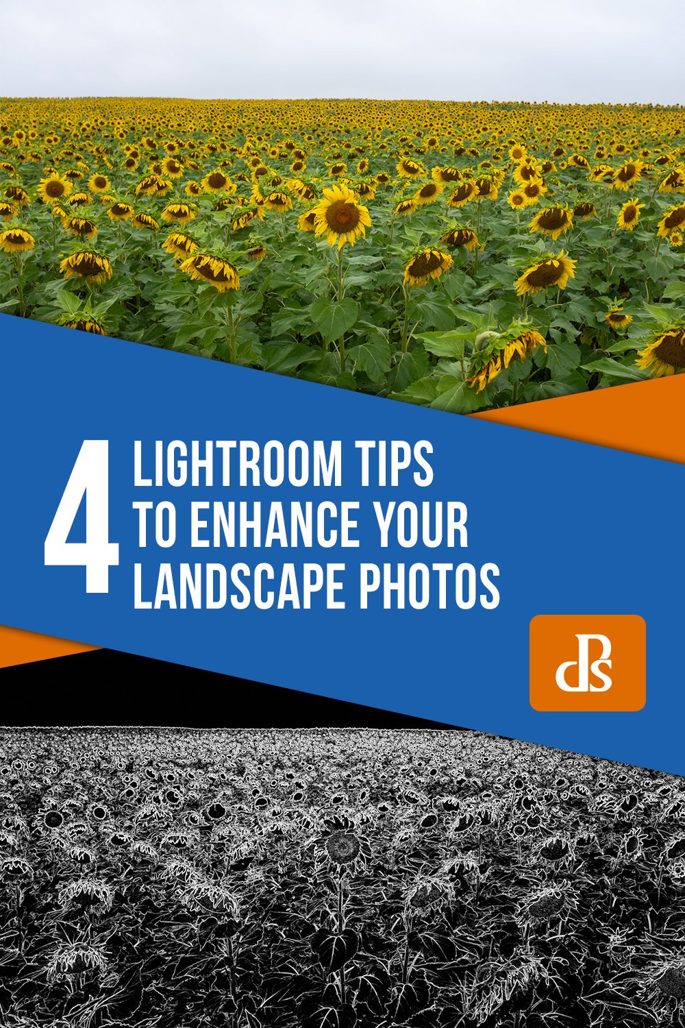 4 Expert Lightroom Tips to Elevate Your Landscape Photos