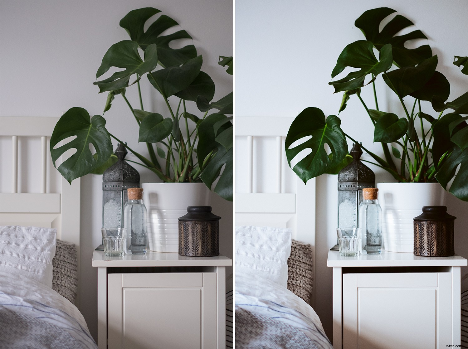 Should You Buy Lightroom Presets? Pros, Cons, and Expert Advice