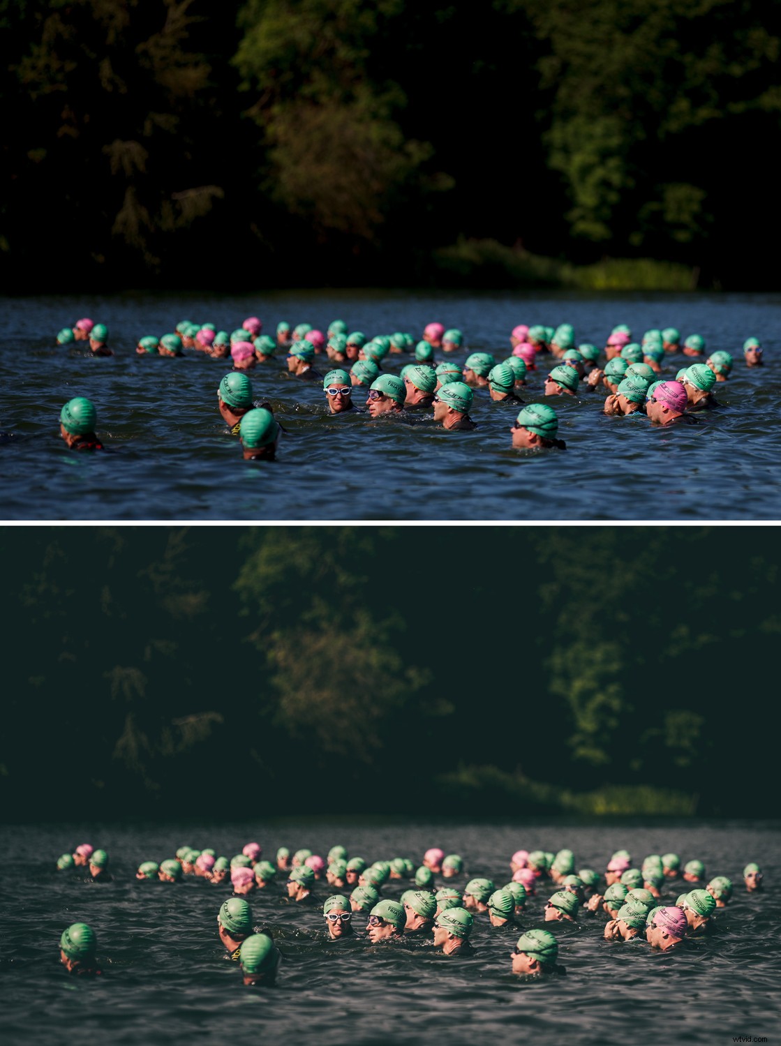 Should You Buy Lightroom Presets? Pros, Cons, and Expert Advice