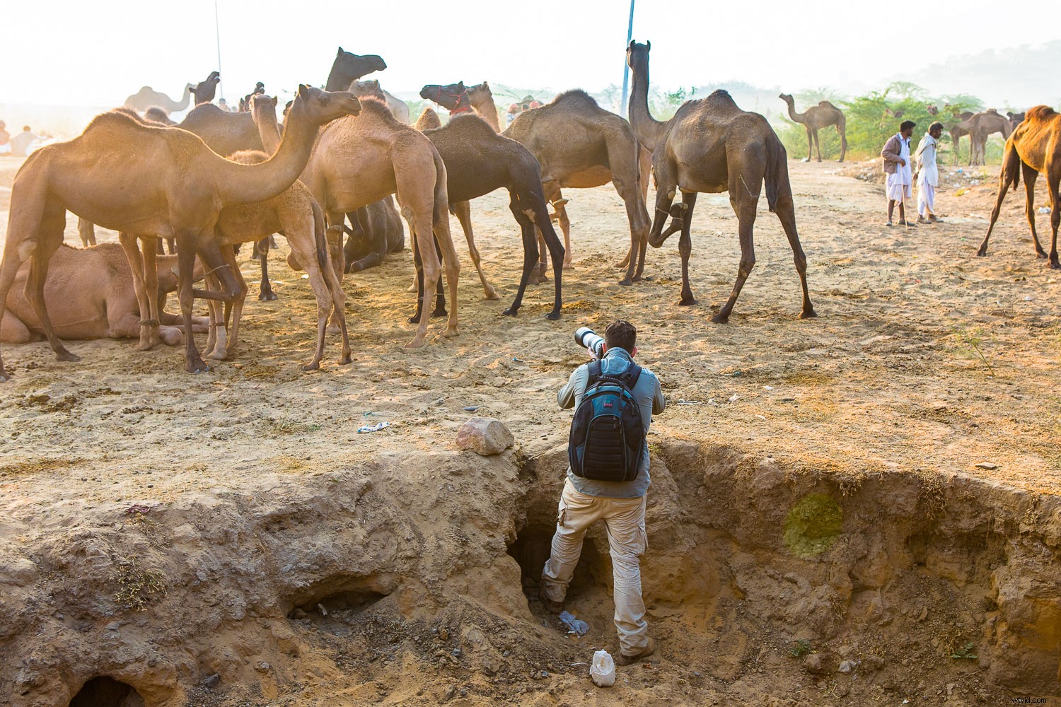 Discover 6 Powerful Lightroom Tips to Supercharge Your Photo Editing