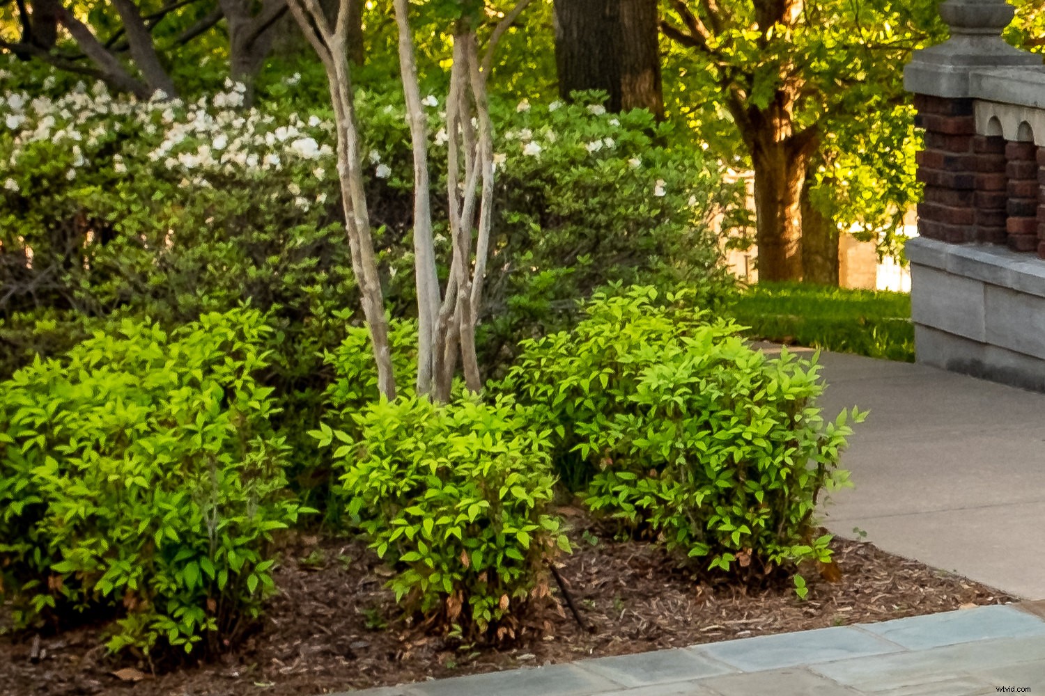 Master Lightroom s Enhance Details: Step-by-Step Guide to Sharper Images