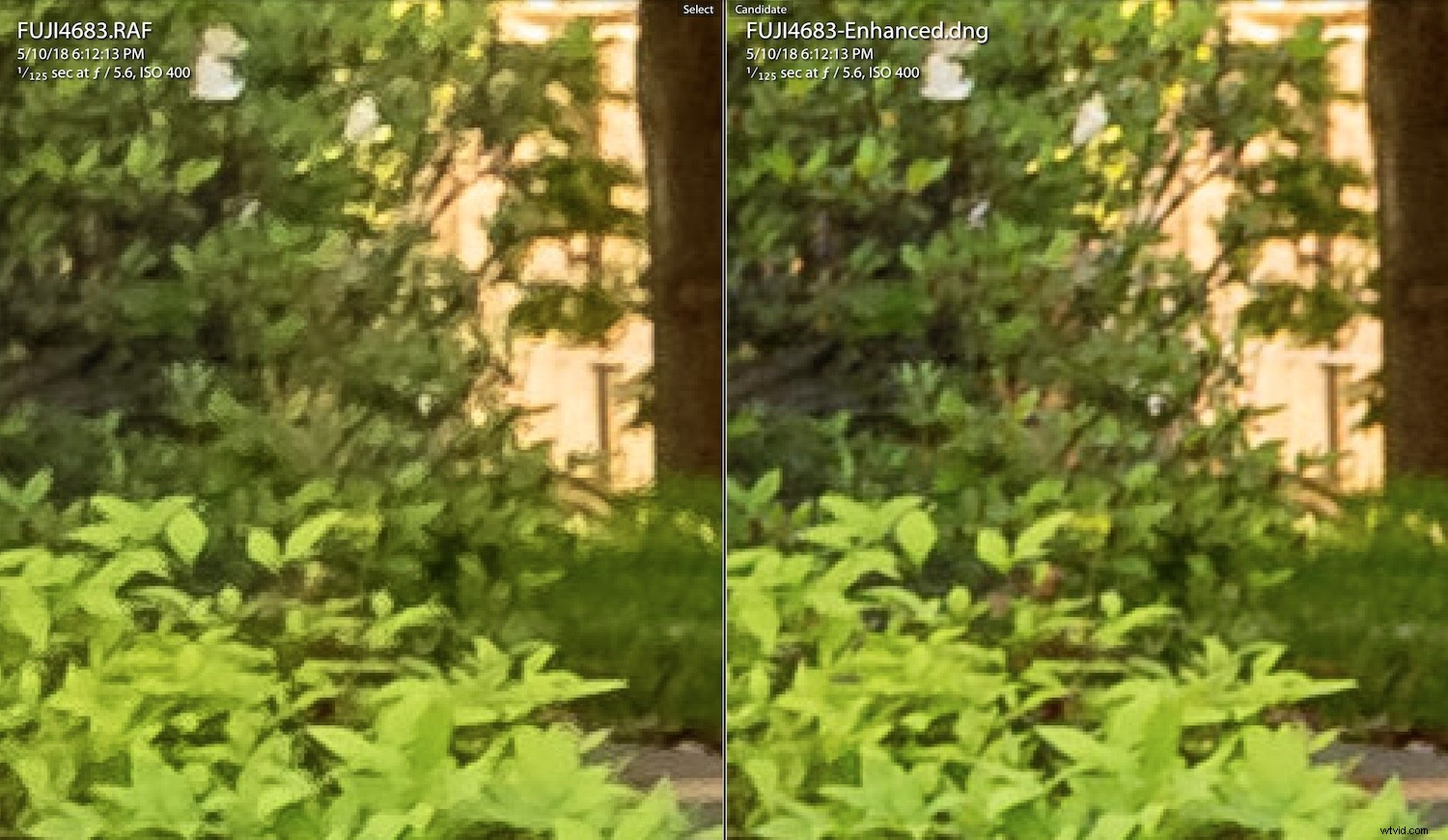 Master Lightroom s Enhance Details: Step-by-Step Guide to Sharper Images