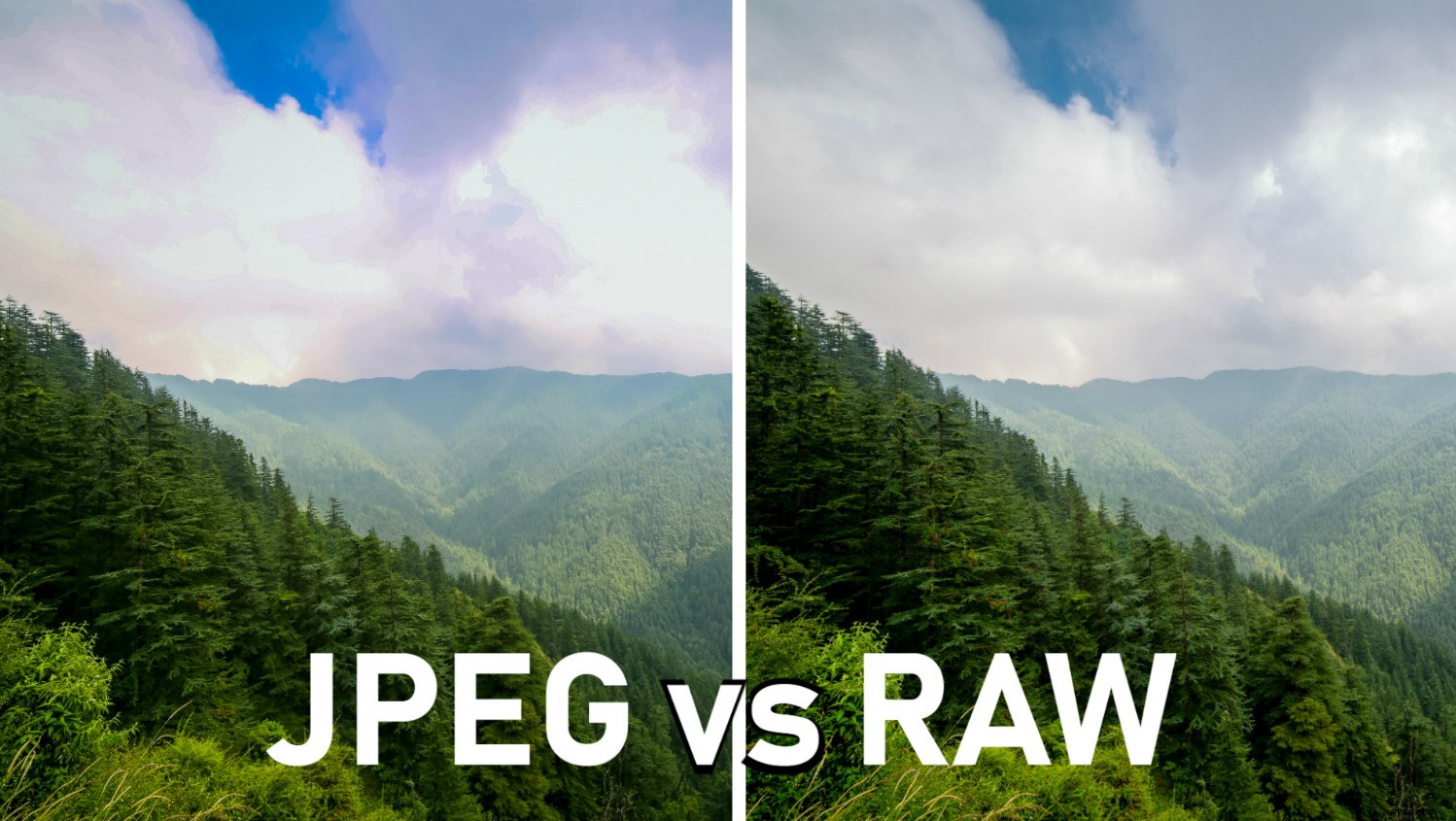 RAW vs JPEG in Lightroom: Why RAW Delivers Superior Editing Results
