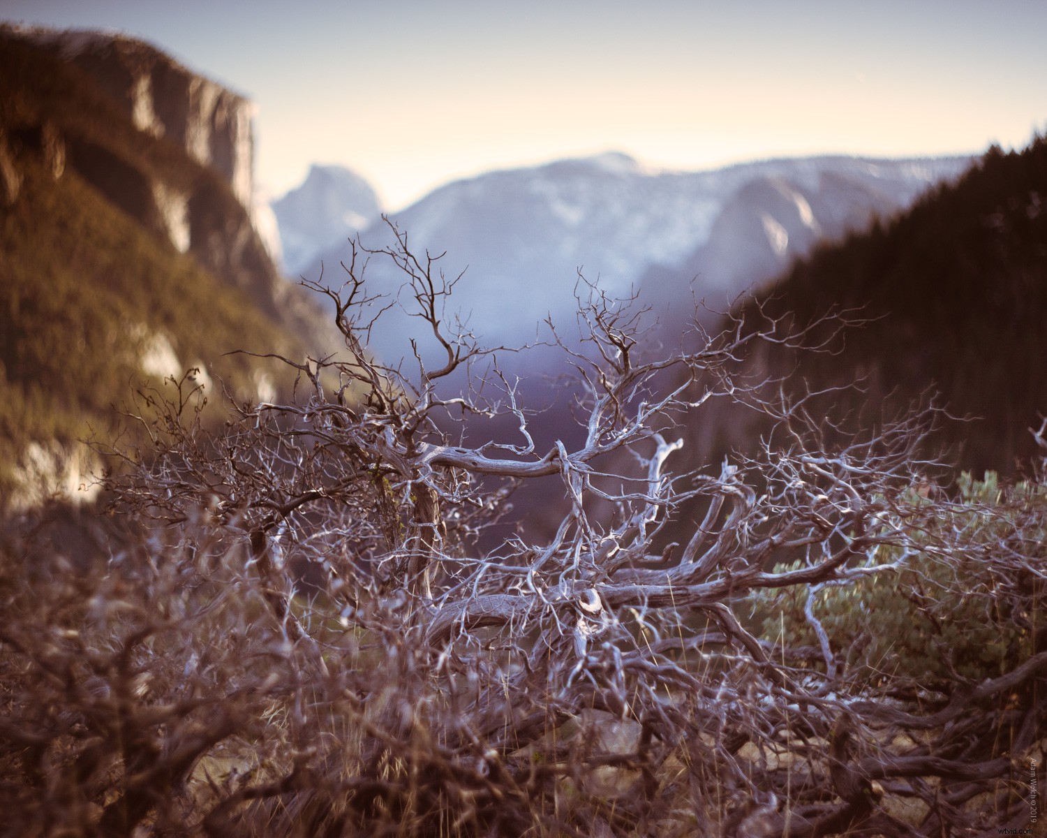 Master Realistic Light Leaks in Lightroom: Step-by-Step Tutorial