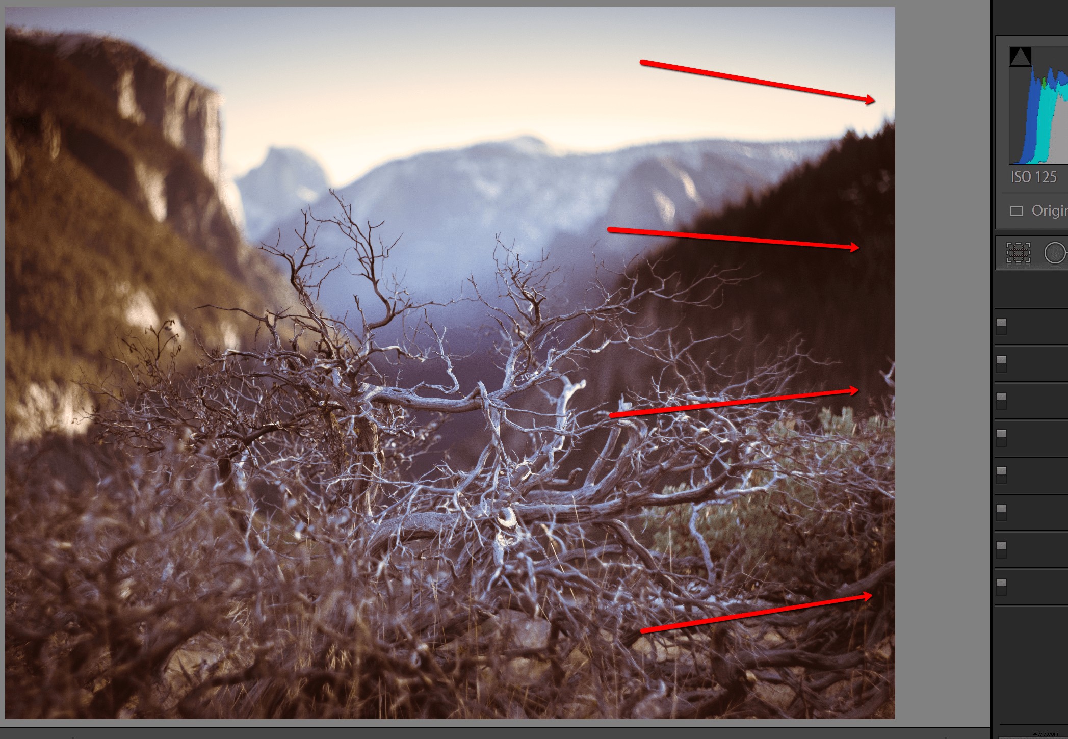 Master Realistic Light Leaks in Lightroom: Step-by-Step Tutorial