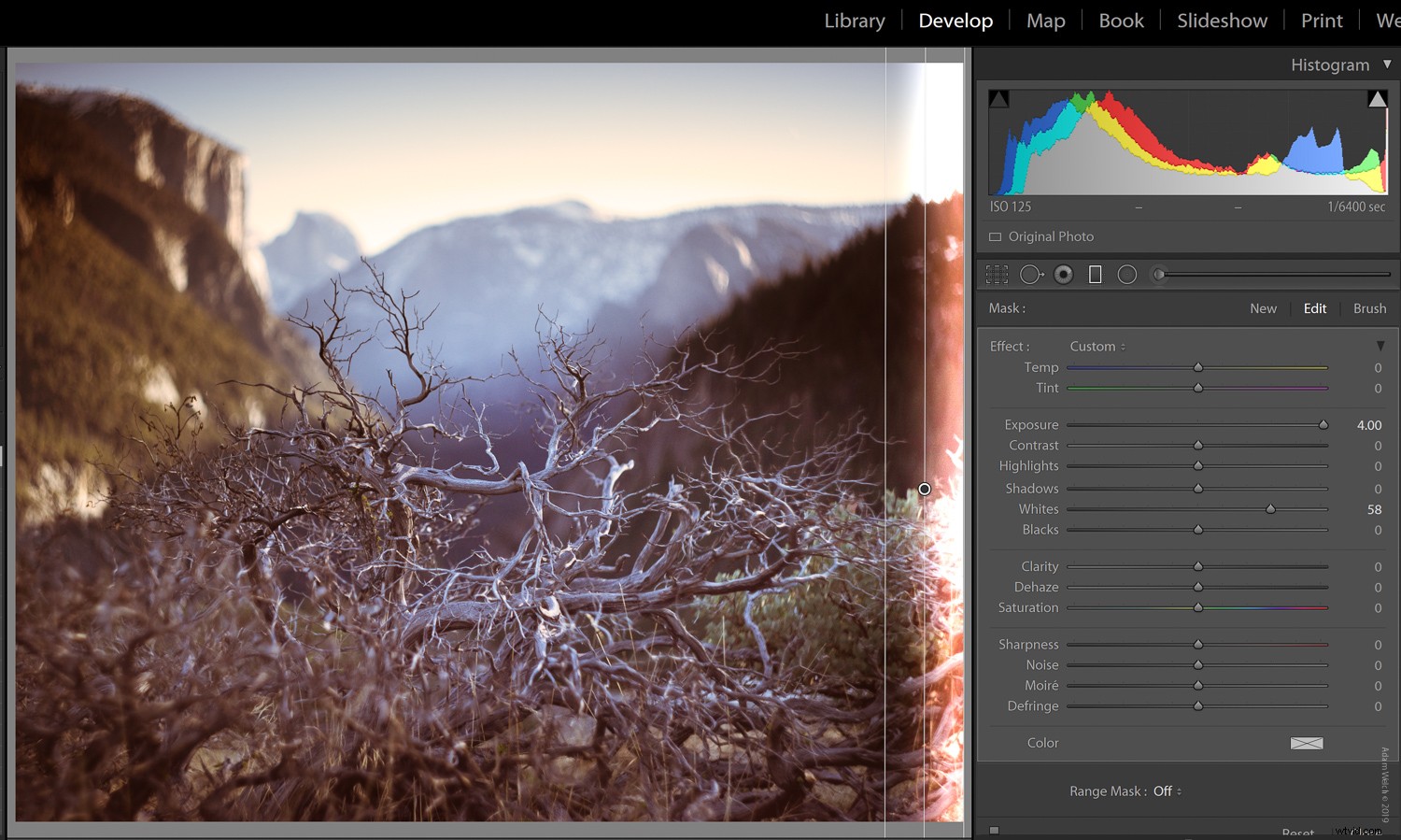 Master Realistic Light Leaks in Lightroom: Step-by-Step Tutorial