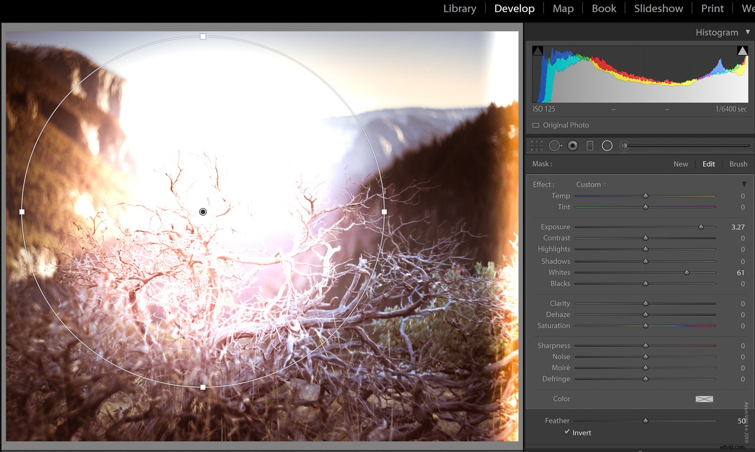 Master Realistic Light Leaks in Lightroom: Step-by-Step Tutorial