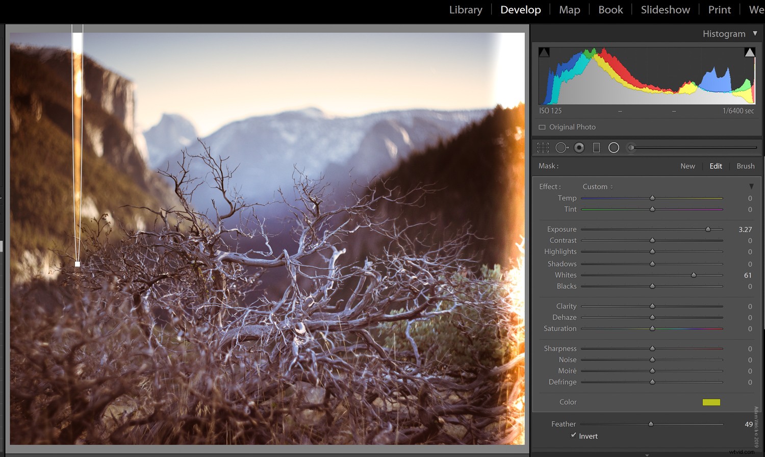 Master Realistic Light Leaks in Lightroom: Step-by-Step Tutorial
