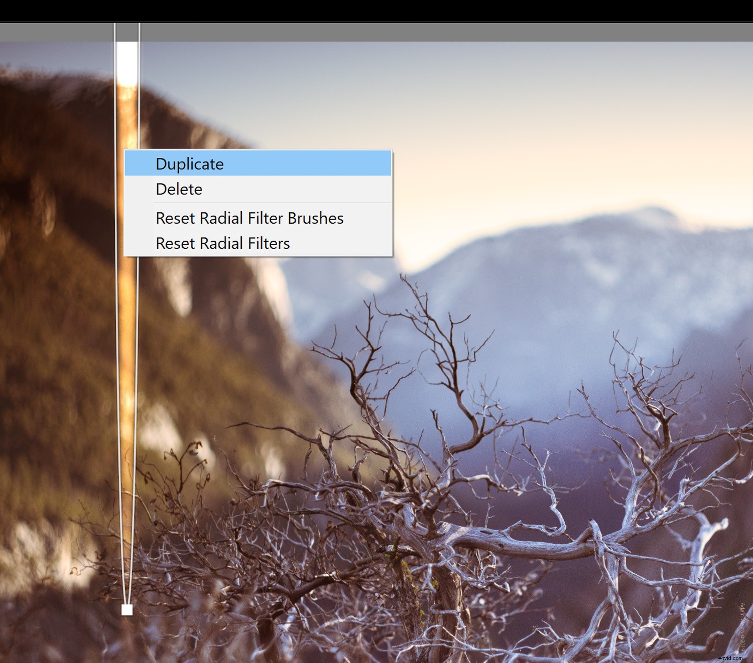 Master Realistic Light Leaks in Lightroom: Step-by-Step Tutorial
