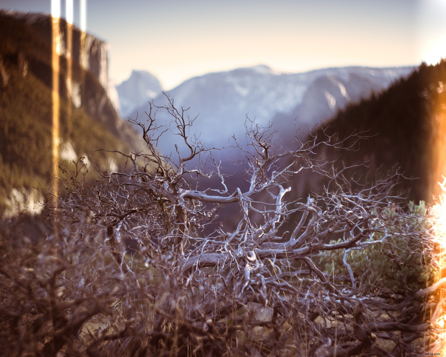 Master Realistic Light Leaks in Lightroom: Step-by-Step Tutorial