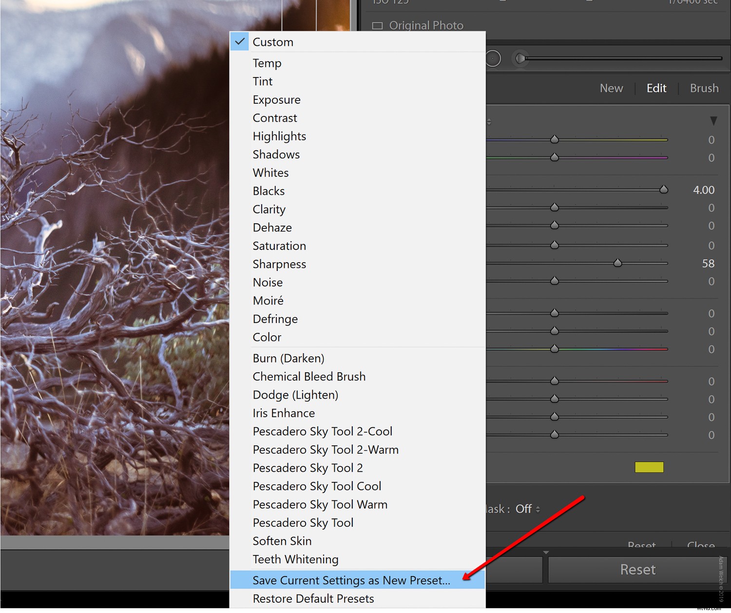 Master Realistic Light Leaks in Lightroom: Step-by-Step Tutorial
