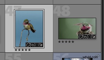 Streamline Your Lightroom Workflow: Master Star Ratings for Efficient Photo Editing