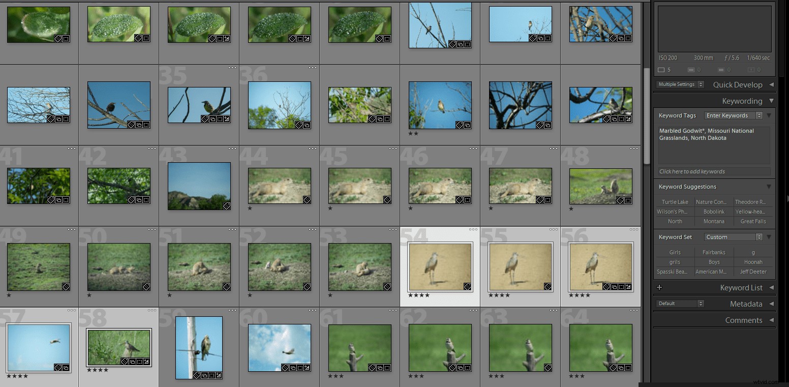 Streamline Your Lightroom Workflow: Master Star Ratings for Efficient Photo Editing