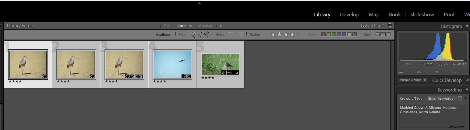 Streamline Your Lightroom Workflow: Master Star Ratings for Efficient Photo Editing