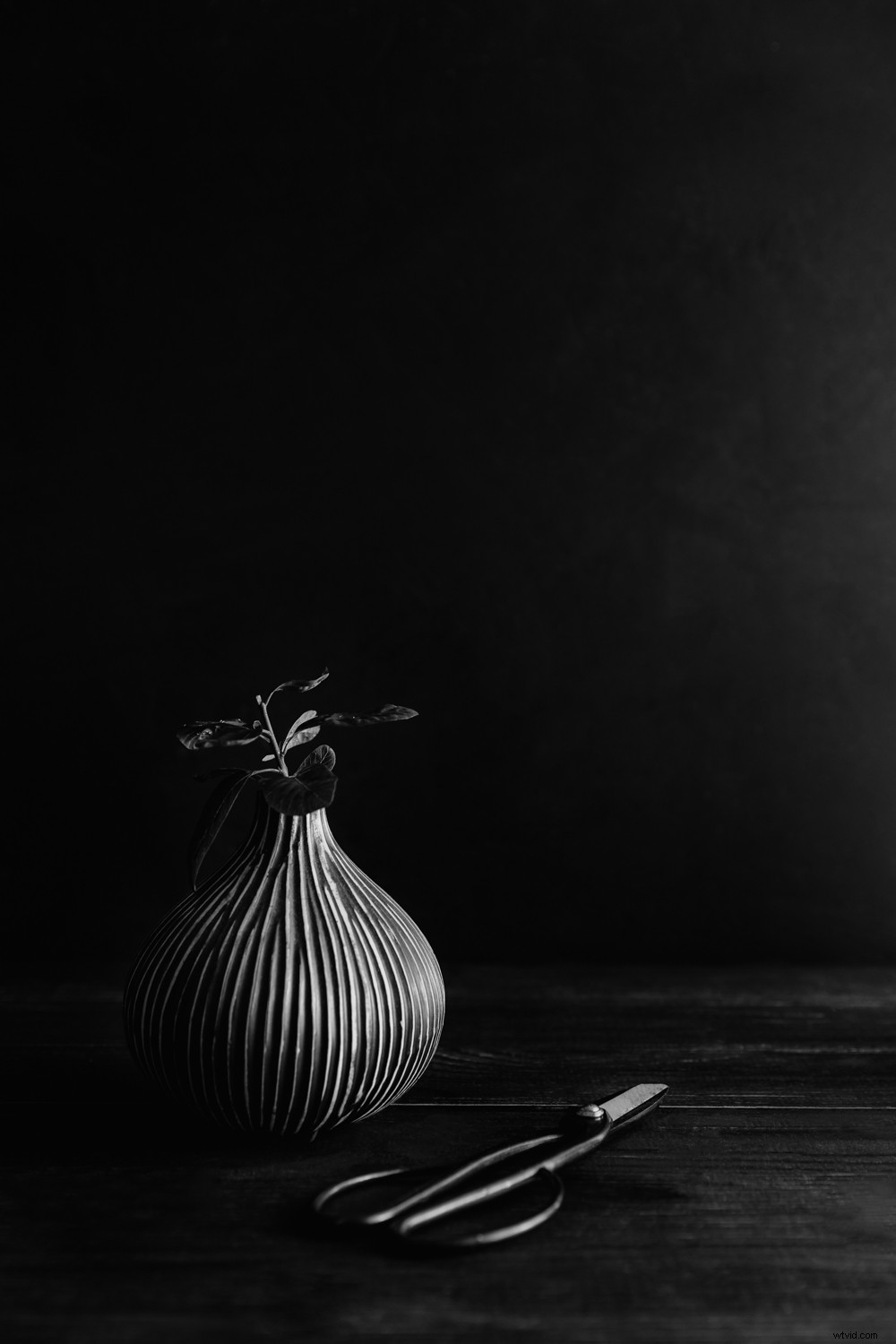 Master Stunning Black & White Photos: Pro Lightroom Editing Tips