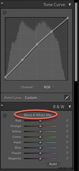 Master Stunning Black & White Photos: Pro Lightroom Editing Tips