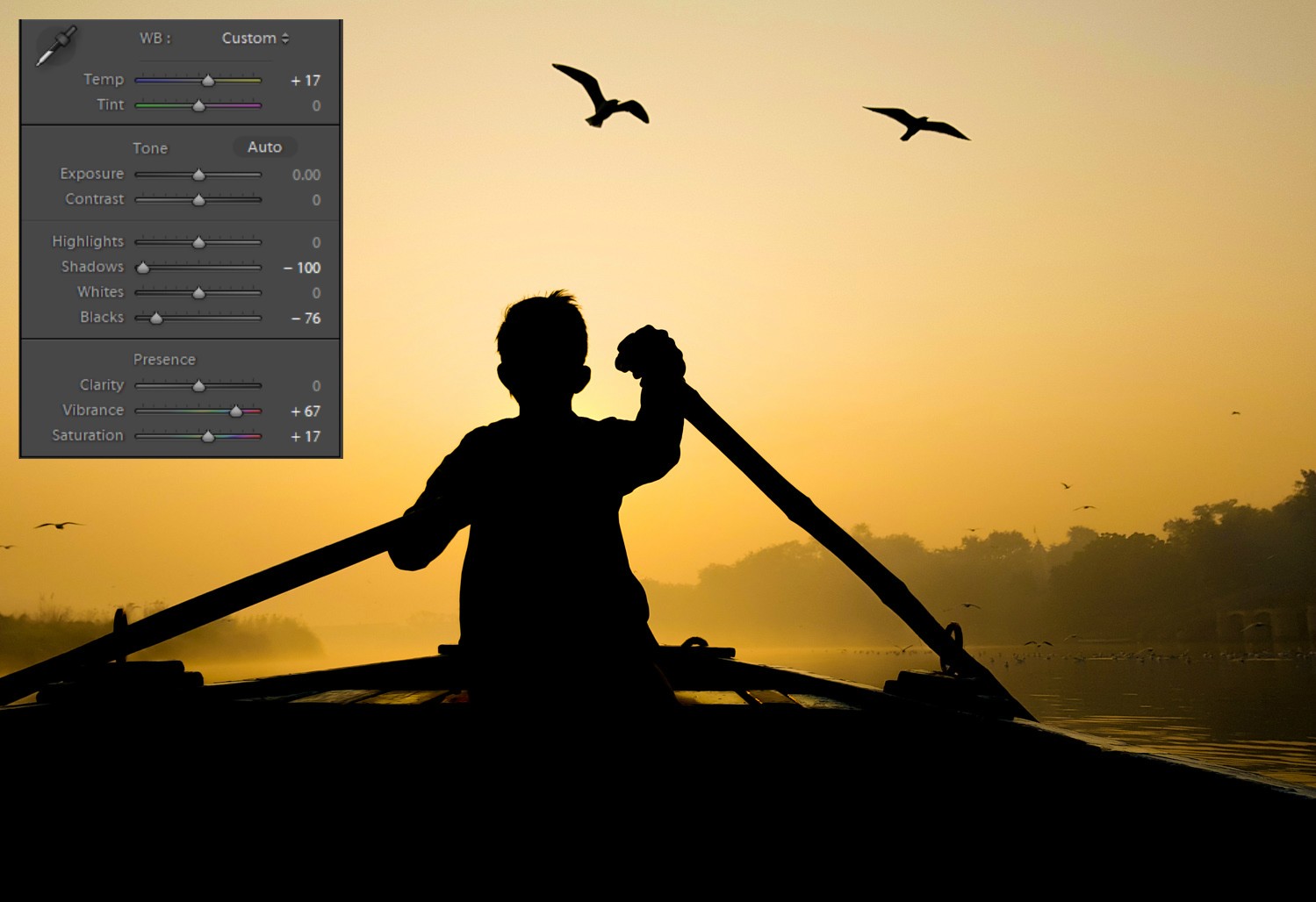 Master Silhouette Photo Editing in Lightroom: Pro Step-by-Step Guide