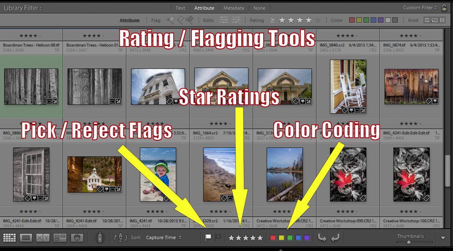 How to Use Lightroom to Rediscover Hidden Gems in Your Photo Library