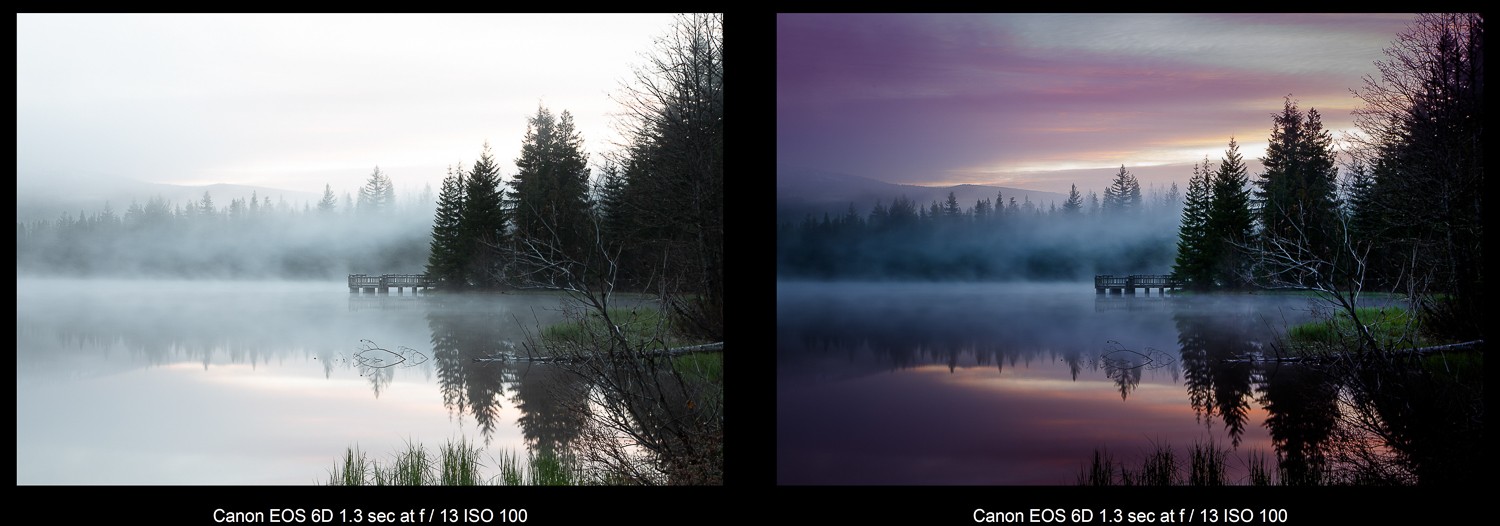 How to Use Lightroom to Rediscover Hidden Gems in Your Photo Library