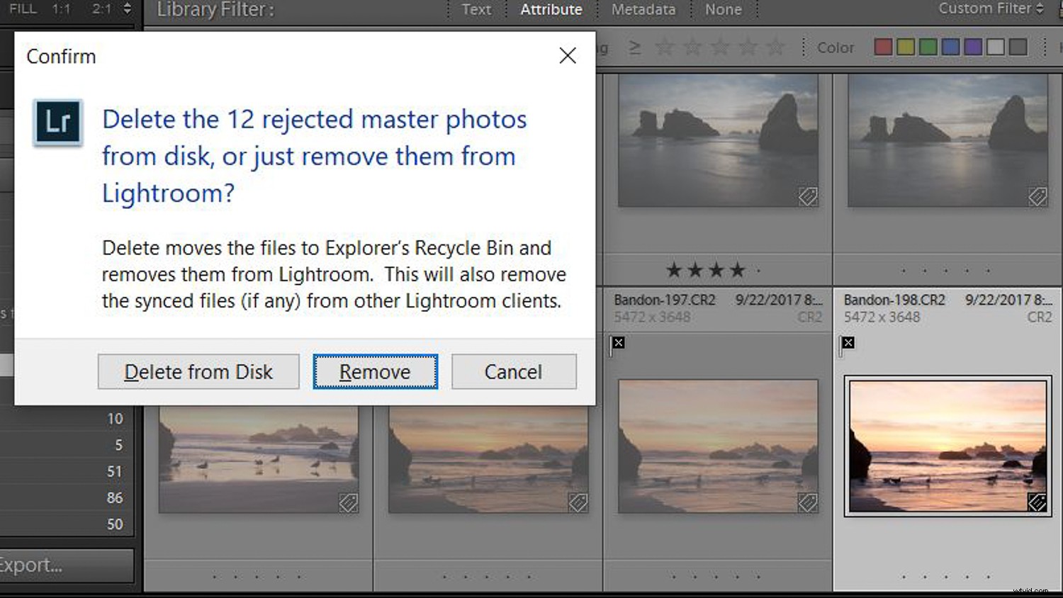 How to Use Lightroom to Rediscover Hidden Gems in Your Photo Library