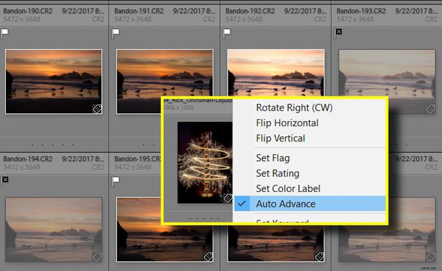 How to Use Lightroom to Rediscover Hidden Gems in Your Photo Library