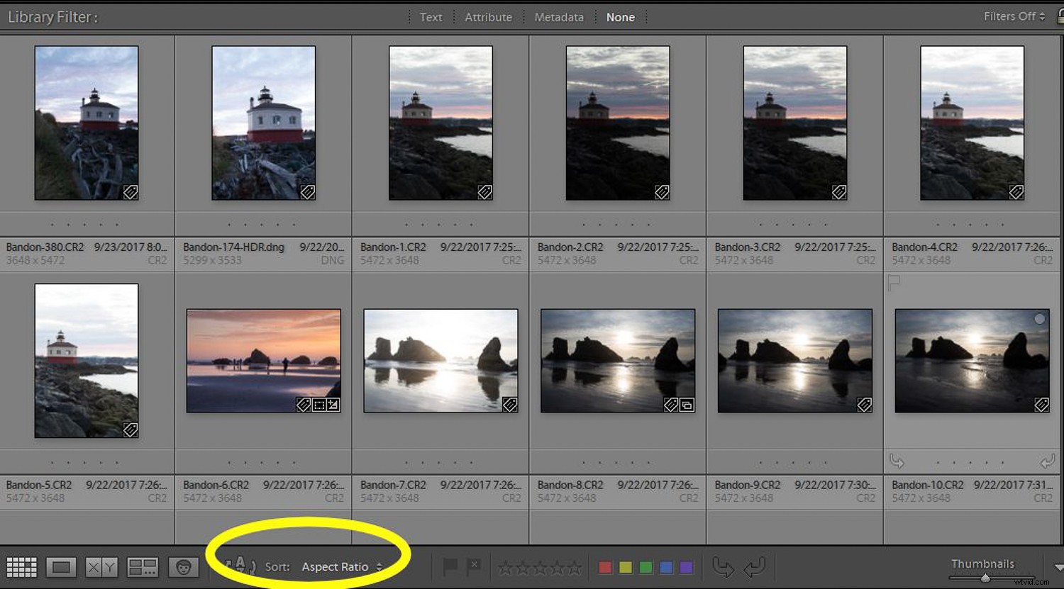 How to Use Lightroom to Rediscover Hidden Gems in Your Photo Library