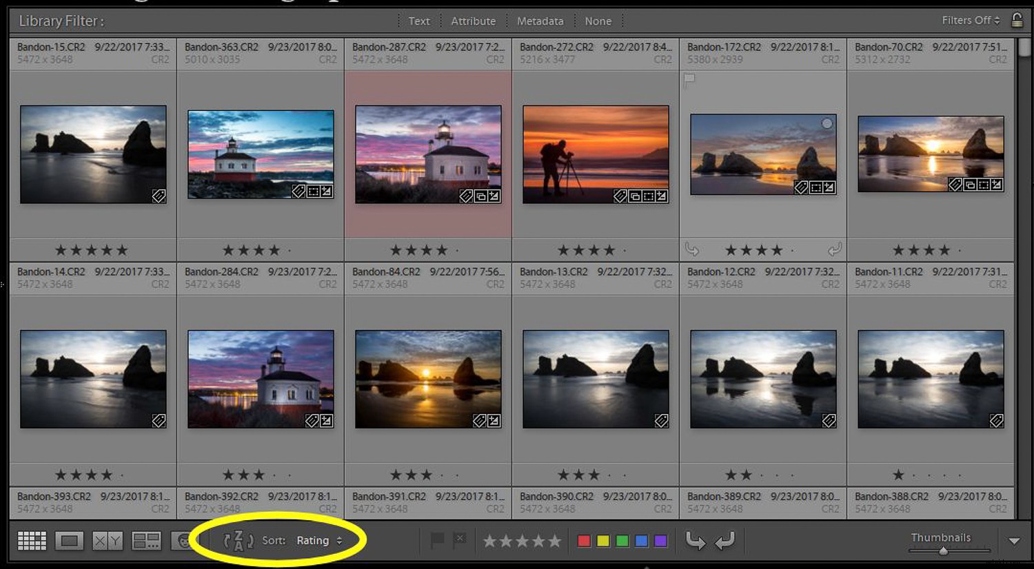 How to Use Lightroom to Rediscover Hidden Gems in Your Photo Library