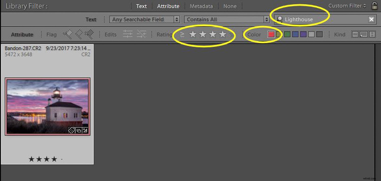 How to Use Lightroom to Rediscover Hidden Gems in Your Photo Library