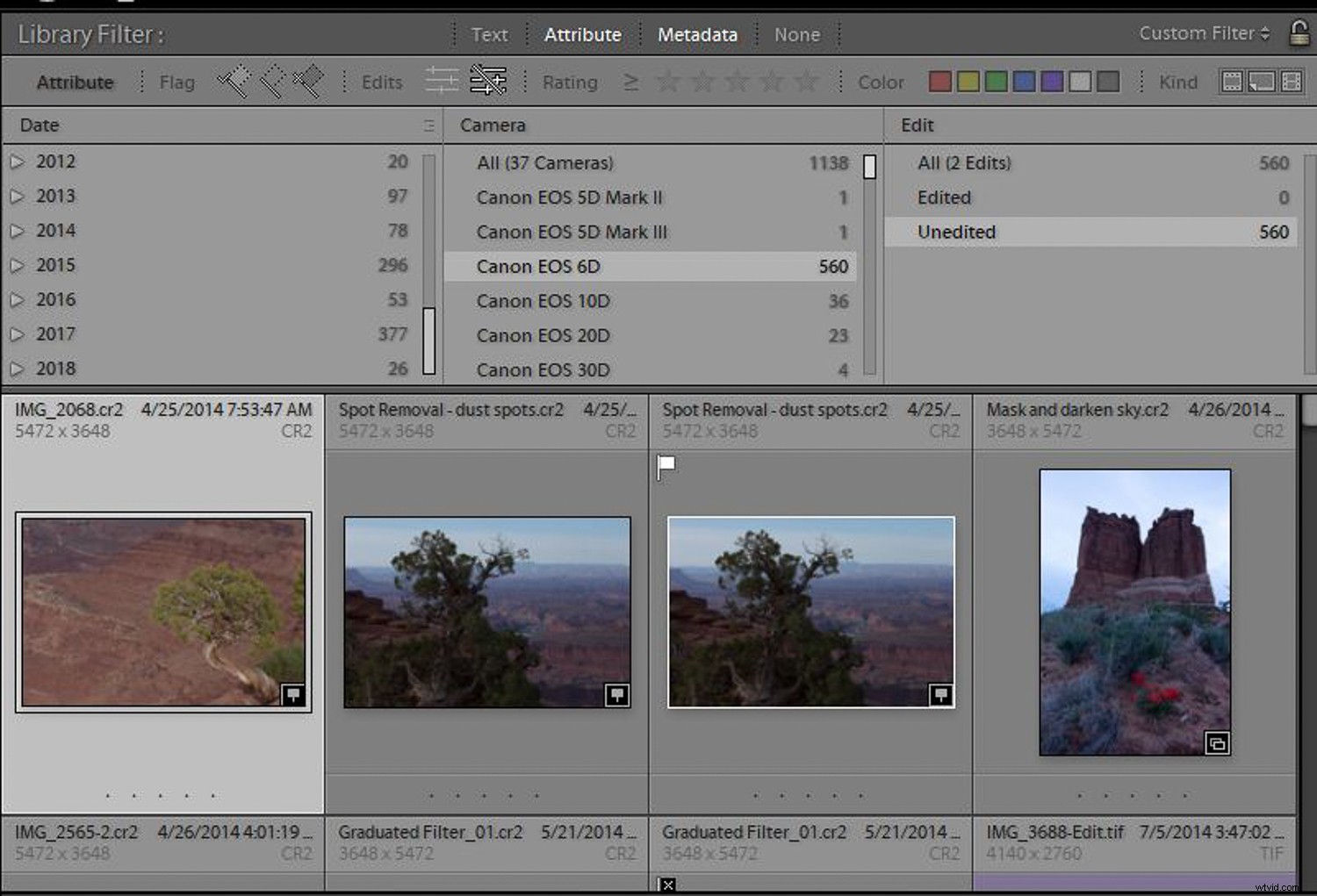 How to Use Lightroom to Rediscover Hidden Gems in Your Photo Library