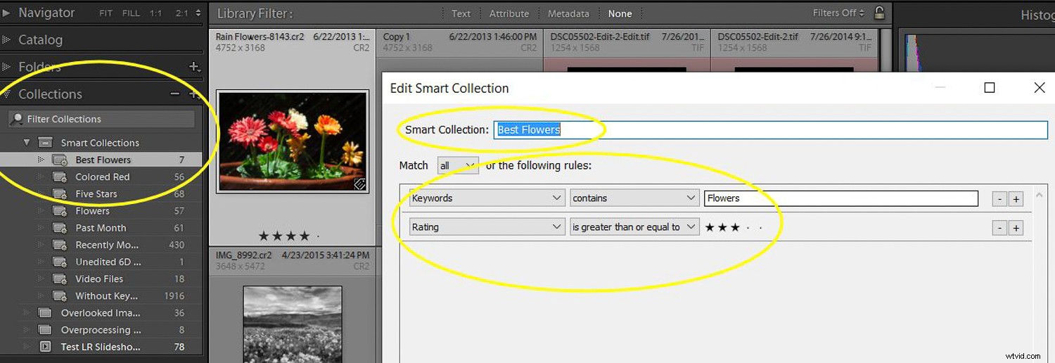 How to Use Lightroom to Rediscover Hidden Gems in Your Photo Library