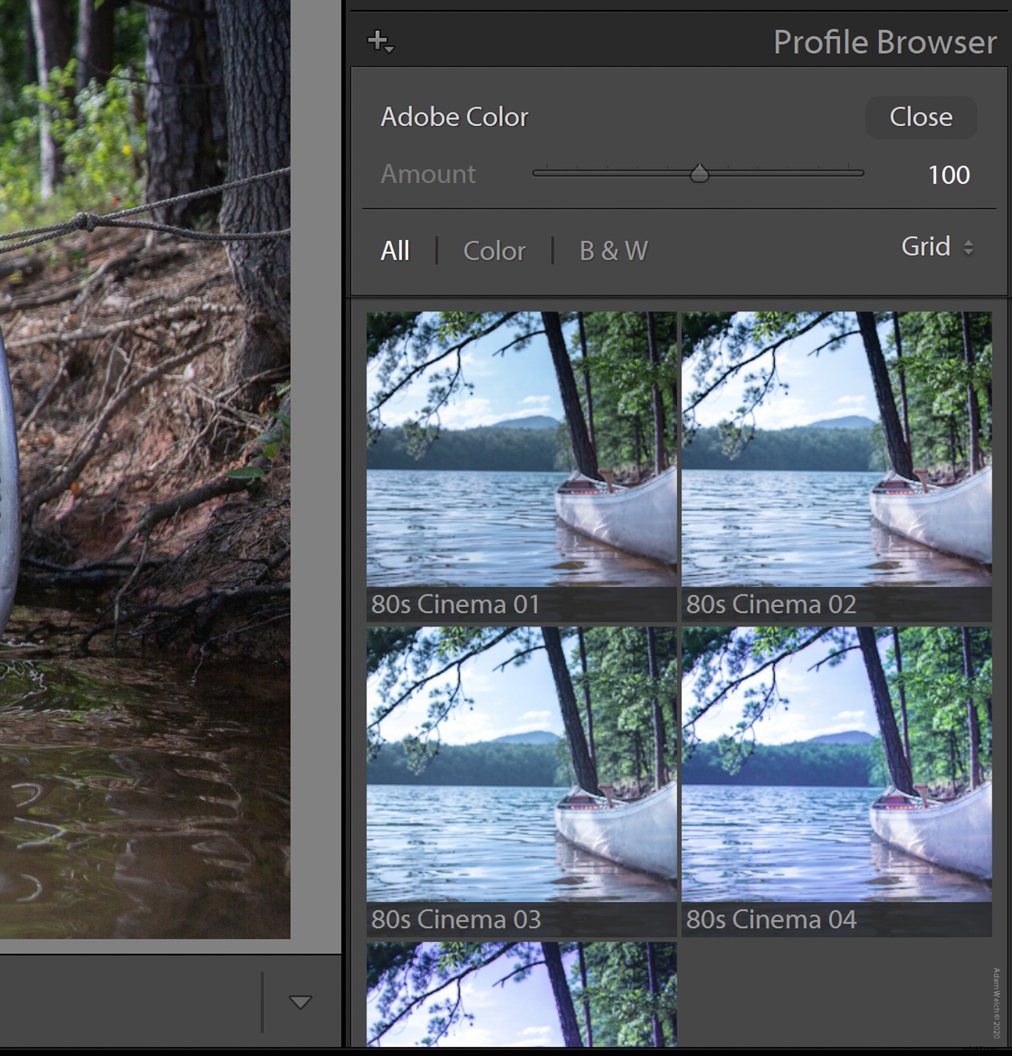 Lightroom Presets Explained: XMP vs. LRTemplate Compatibility Guide