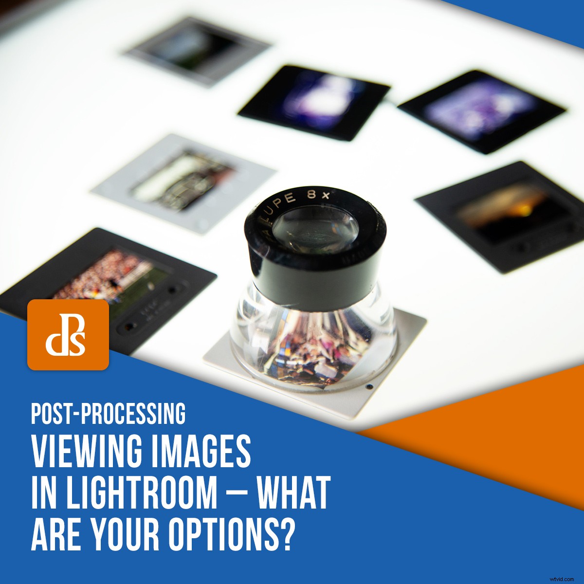 Efficient Image Viewing in Lightroom: Top Tools, Options & Workflow Tips