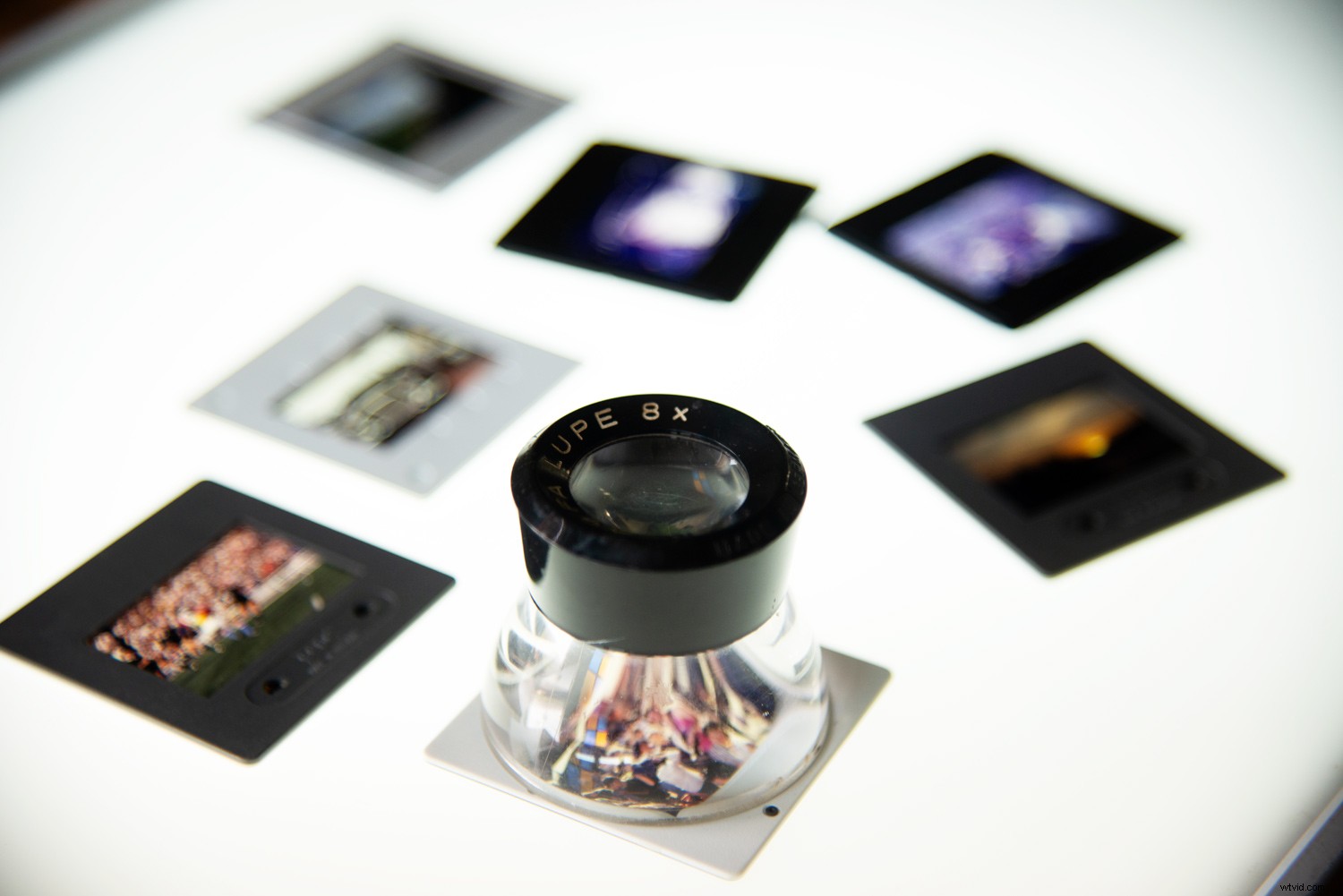 Efficient Image Viewing in Lightroom: Top Tools, Options & Workflow Tips