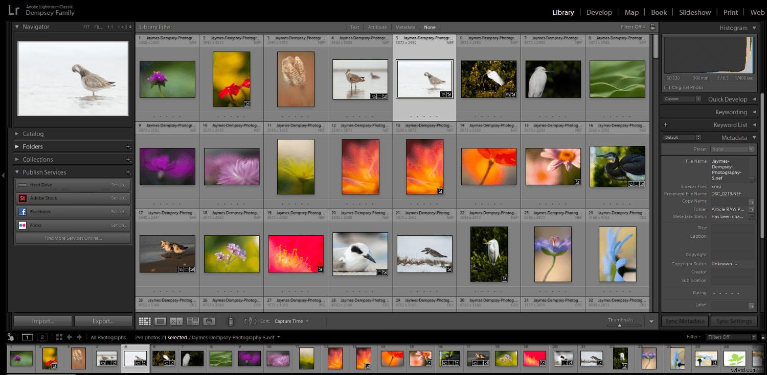 Luminar vs. Lightroom: 3 Key Reasons Luminar Excels (and 2 Where It Falls Short)
