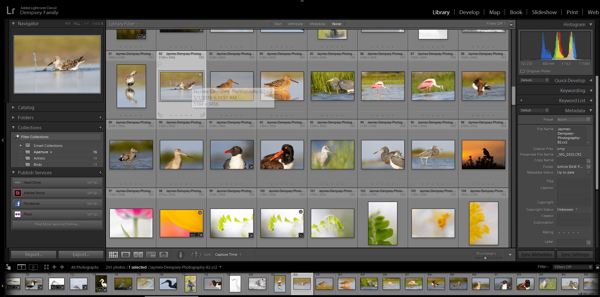 Luminar vs. Lightroom: 3 Key Reasons Luminar Excels (and 2 Where It Falls Short)