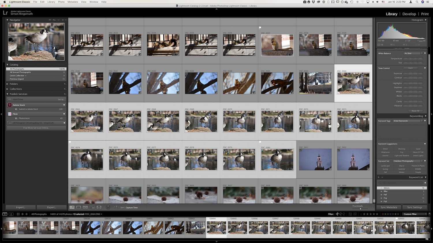 Master Lightroom Keywords Quickly: Pro Tips for Effortless Photo Organization