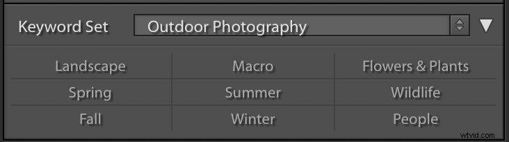 Master Lightroom Keywords Quickly: Pro Tips for Effortless Photo Organization