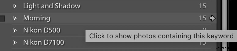 Master Lightroom Keywords Quickly: Pro Tips for Effortless Photo Organization
