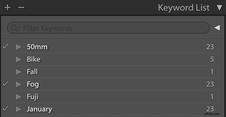 Master Lightroom Keywords Quickly: Pro Tips for Effortless Photo Organization