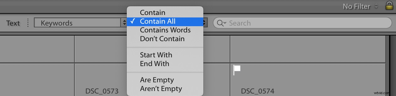 Master Lightroom Keywords Quickly: Pro Tips for Effortless Photo Organization