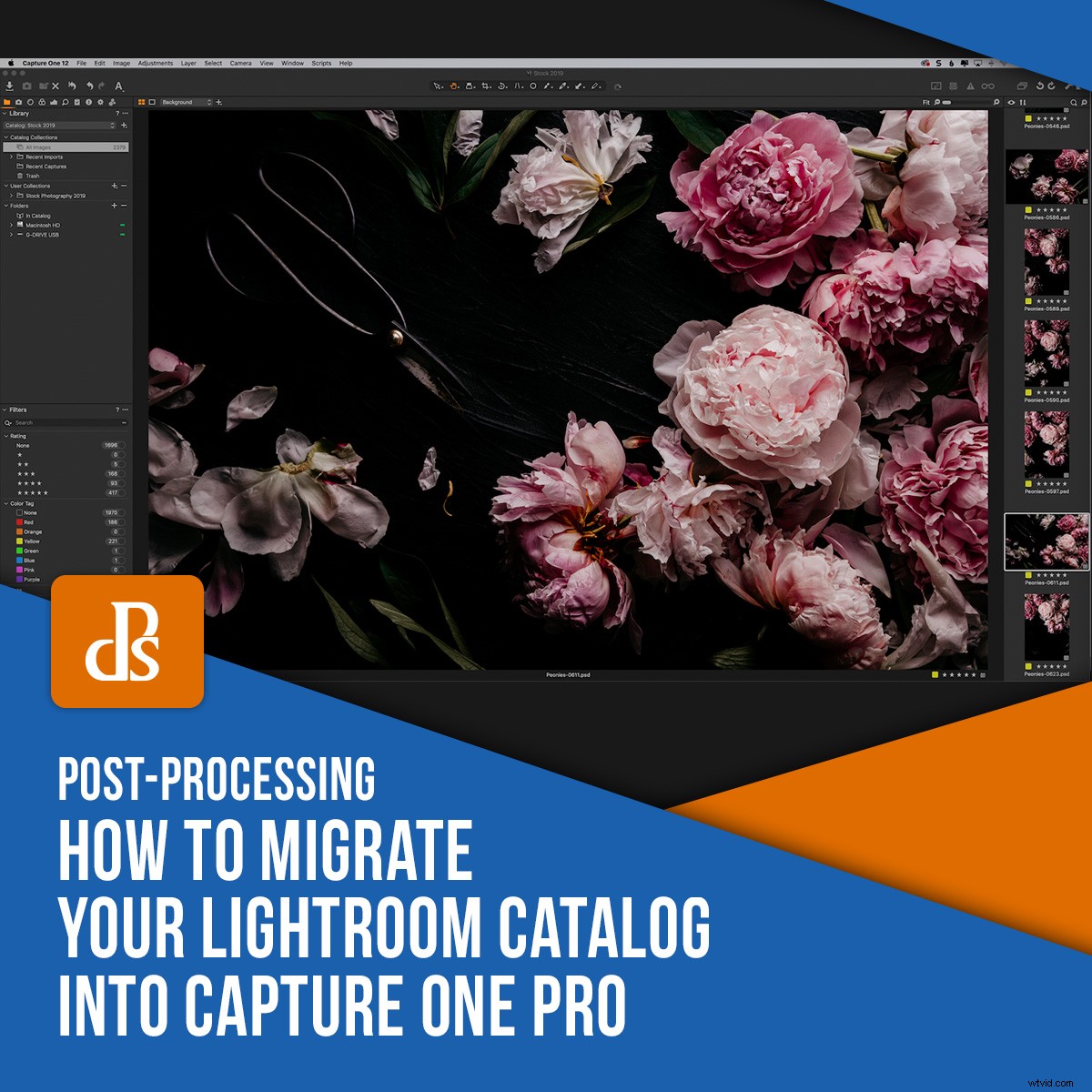 Expert Guide: Seamlessly Migrate Your Lightroom Catalog to Capture One Pro