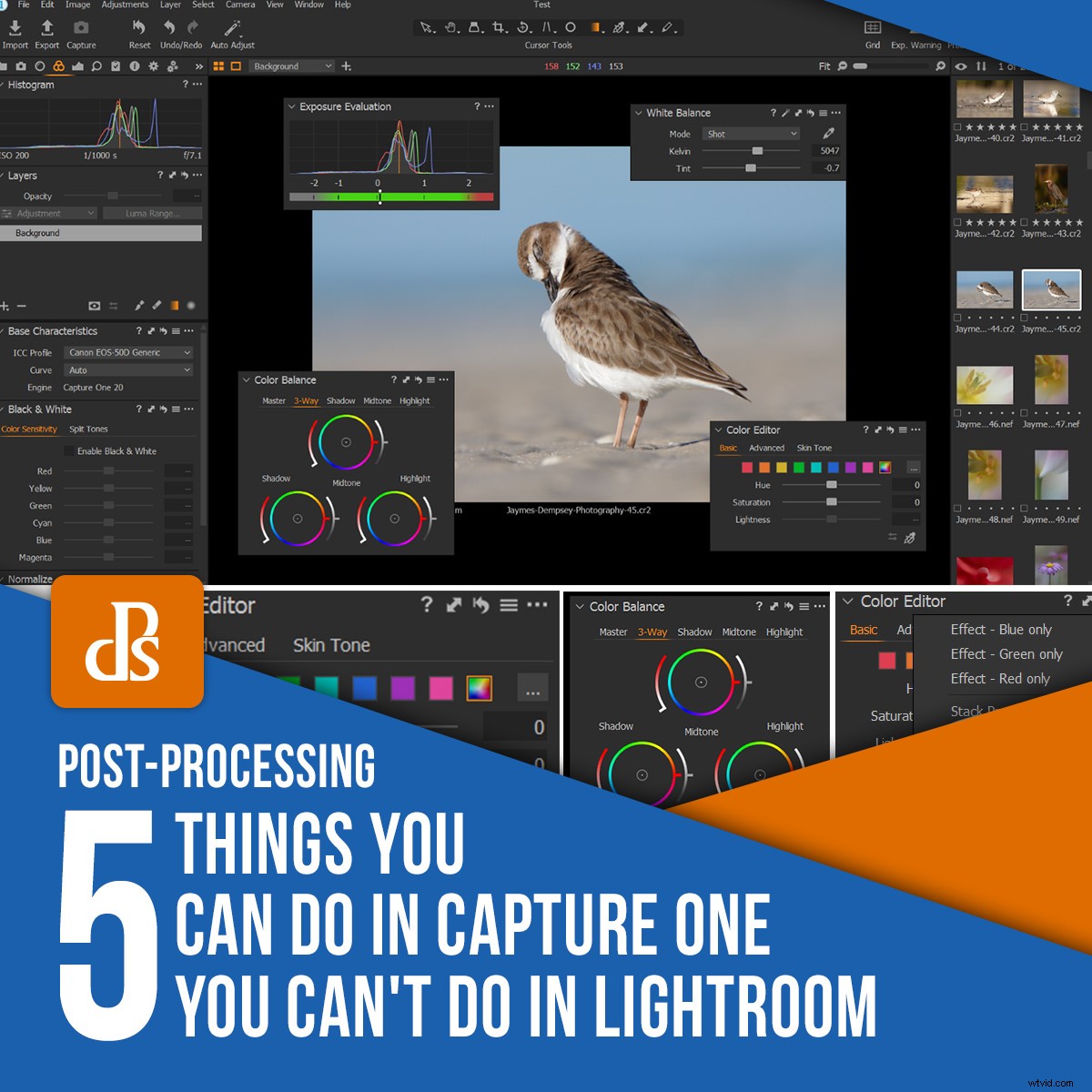 5 Powerful Features in Capture One You Can t Do in Lightroom