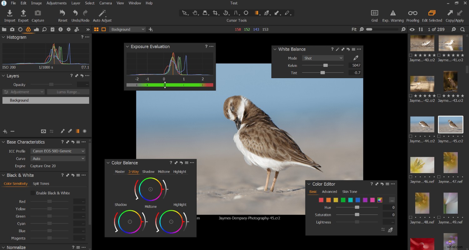5 Powerful Features in Capture One You Can t Do in Lightroom