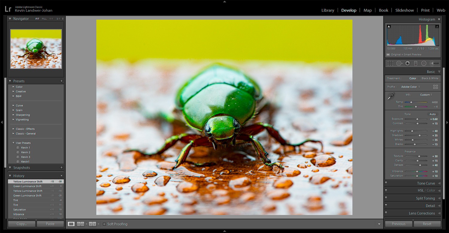 Master RAW Photo Editing in Lightroom: Achieve Lifelike Realism