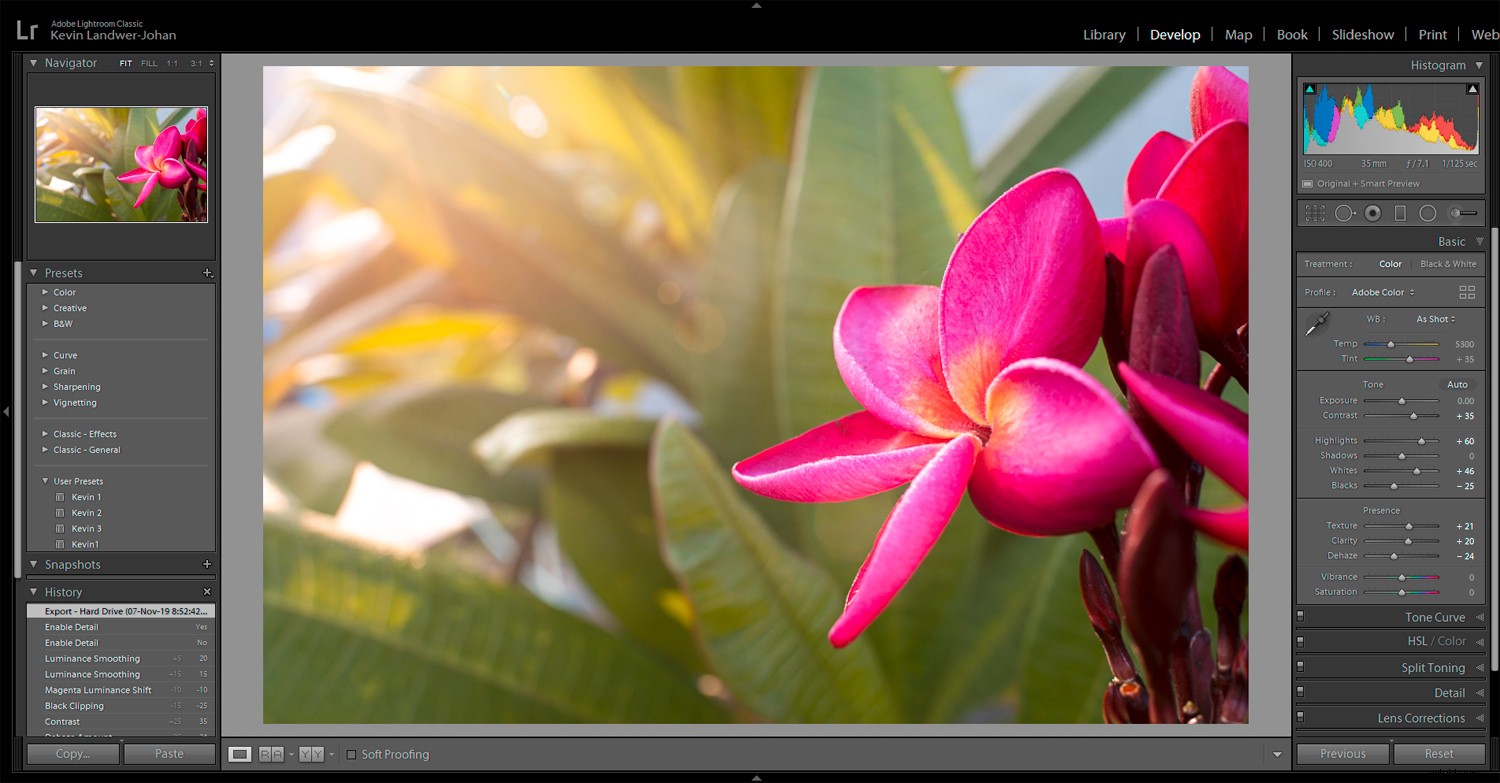 Master RAW Photo Editing in Lightroom: Achieve Lifelike Realism