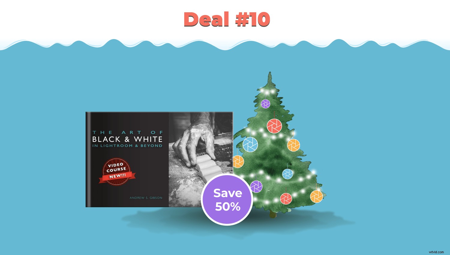 Master Black & White Photography: Lightroom Techniques and Beyond